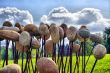 Stones on a Stick 