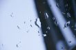 Rain on Glass