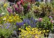 Flower market
