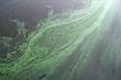 Water pollution
