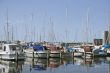 Boats in a harbor