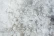 Raw salt texture