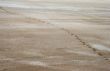 Salty land and footprints