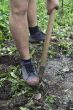 Loosing the soil