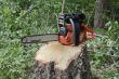 Chainsaw on a stump