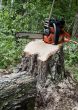 Chainsaw on a stump