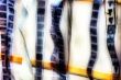 Film Strip