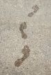 Wet footprints on granite