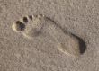 Footprint in the wet sand