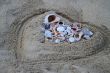 Lots of colorful shells and coral on the sand. Sand in the form of heart.