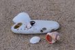 A stone with a hole and colorful seashells.