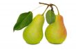 Two large pears on a white background