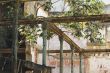 Ruin in Havanna