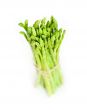 fresh asparagus over white