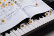 Piano keys and musical book and flower