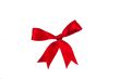 Red ribbon by bow
