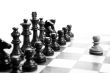 chess pieces on the board