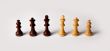 Number of chess pieces
