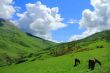 Caucasus green mountains