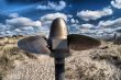 Marine Propeller