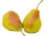 Two large pears on a white background