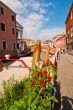 Venice Italy red chili pepper plant