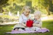 Little Girl Gives Her Baby Brother A Gift at Park