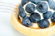 blueberry cream cupcake