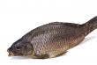 Salted and dried river fish on a white background.