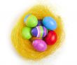 Easter eggs in the nest