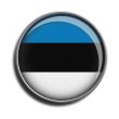 flag icon web button estonia