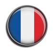 flag icon web button france