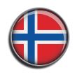 flag icon web button norway