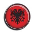 flag icon web button albania