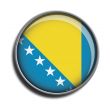 flag icon web button bosnia