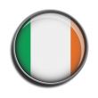 flag icon web button ireland