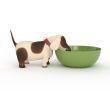 3d dog with a bowl.