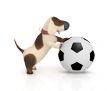 3d dog with a ball.
