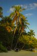 Palm Beach
