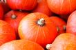 Red Kabocha Squash