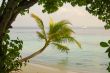 Palm Beach