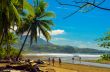 Palm Beach