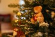 Christmas bear hanging on the branch of the Christmas Tree