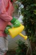 Child is watering the bush using yellow watering can