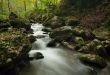 Small river cascade