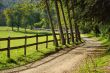 Road in Countryside