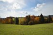 Autumn Forest in Mountain 1