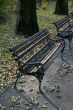 Bench in park