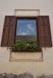 Window with flowers