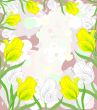 Lovely white and yellow tulips in bloom on an abstract backgroun